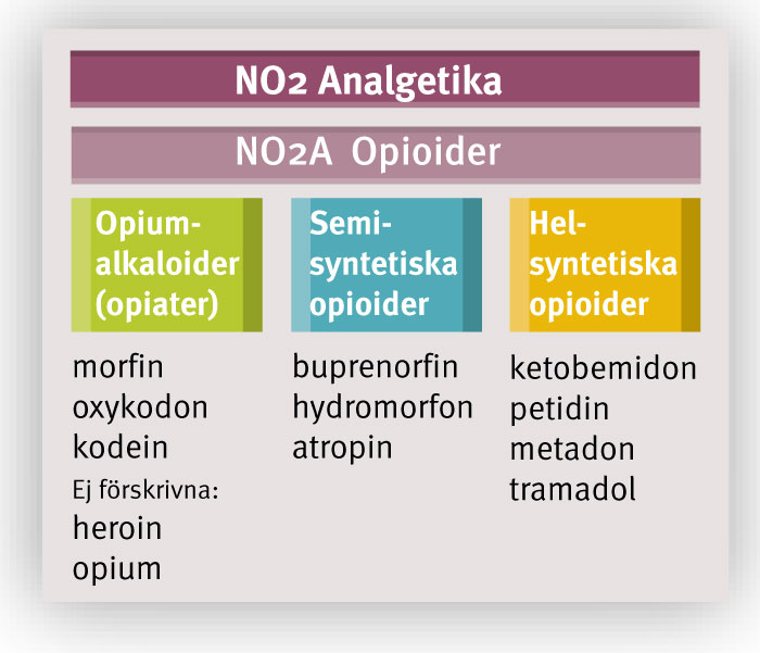 Opiater Eller Opioider? Dags Att Städa Bland Begreppen